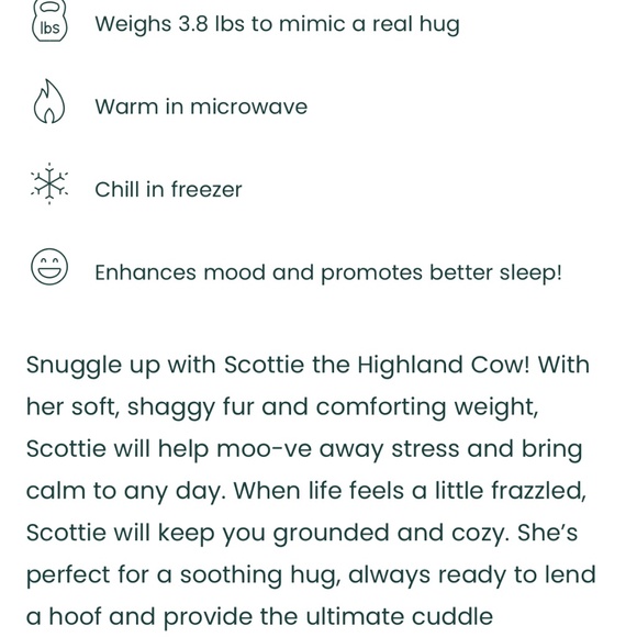 HUGZ Scottie The Highland Cow - Picture 4 of 4